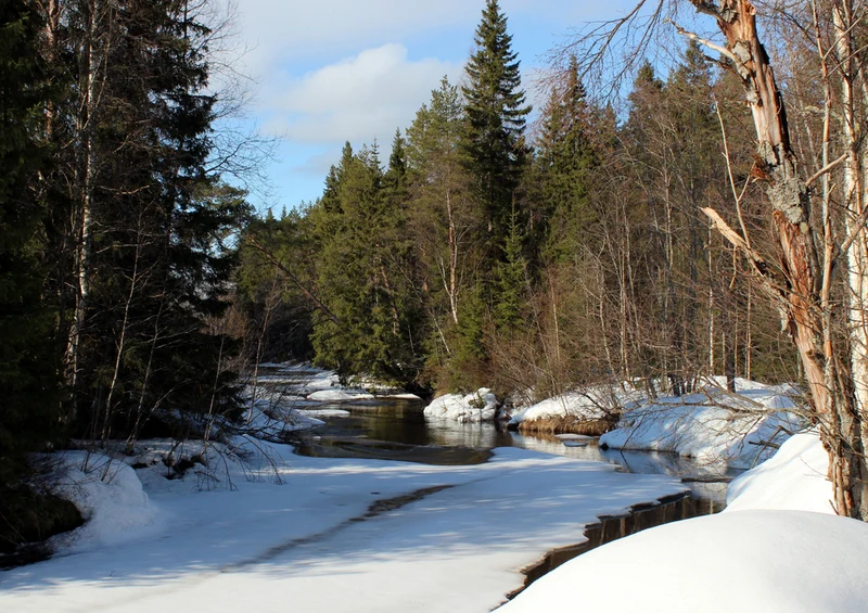 69833 Natur - Finnland Puzzle
