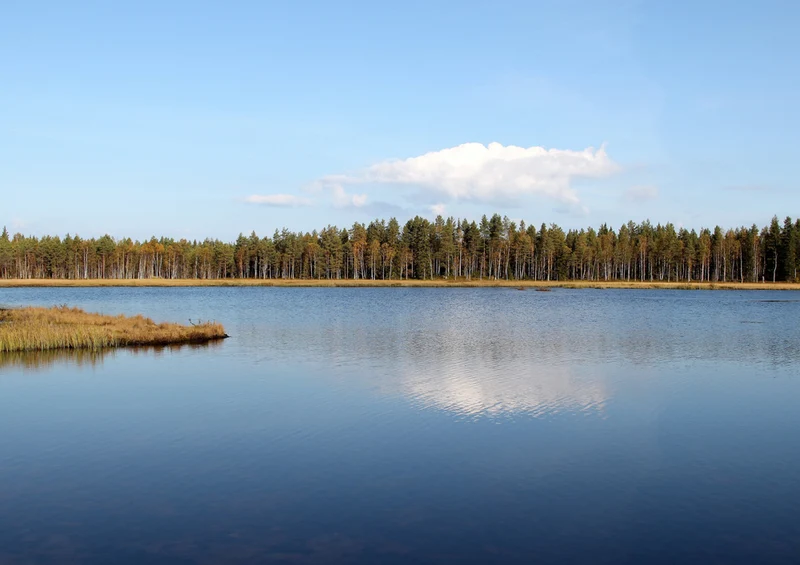 69852 Natur - Finnland Puzzle
