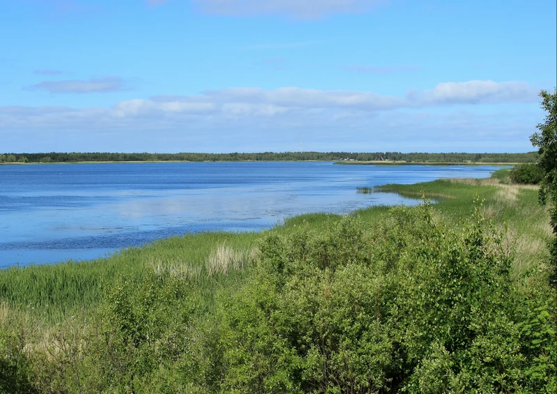 69613 Natur - Finnland Puzzle