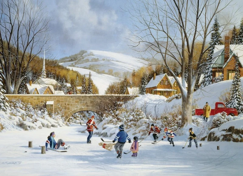 PFG Hockey on Frozen Lake, Douglas Laird (Usage/Used - PUZZLES FOR GOOD)