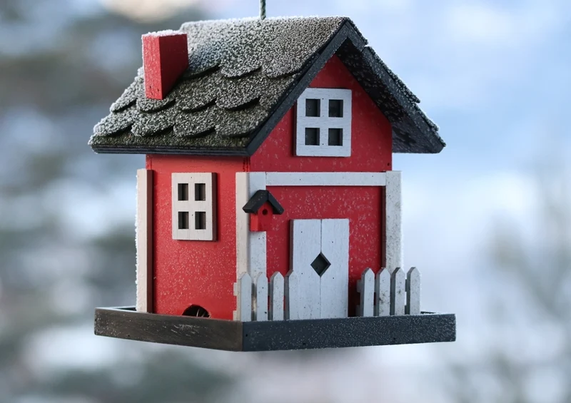 50924 Hintergründe - Vogelhaus Puzzle