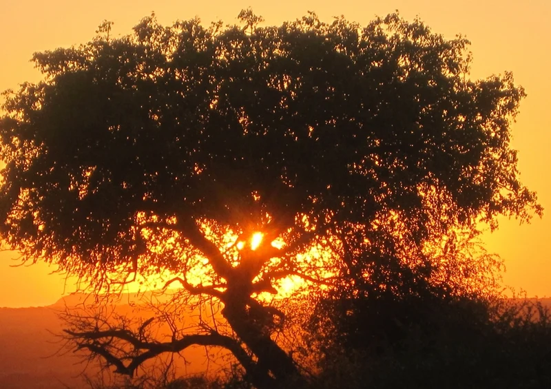 50738 Reisen - Afrikanischer Sonnenuntergang Puzzle