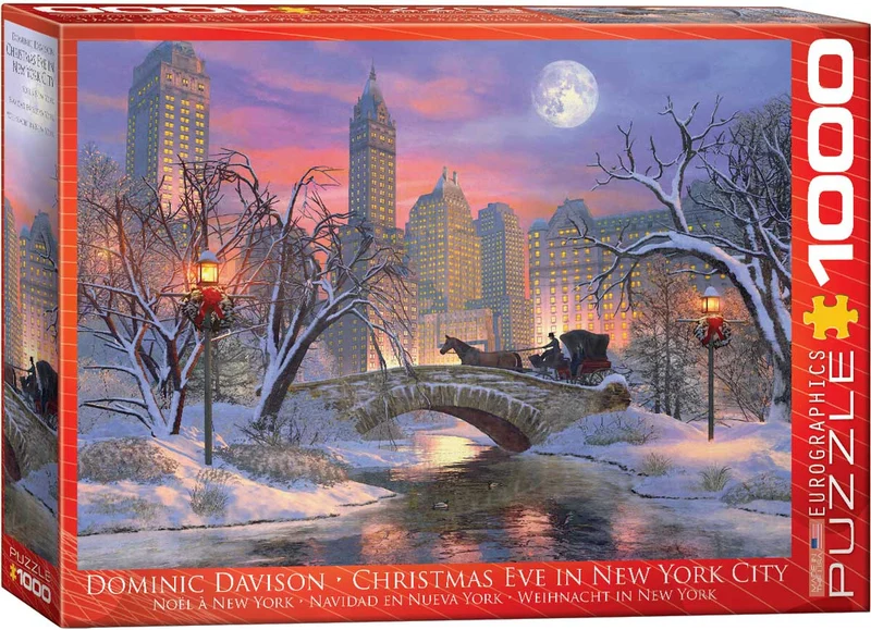 PFG Christmas Eve in New York City, Dominic Davison (Usage/Used - PUZZLES FOR GOOD)