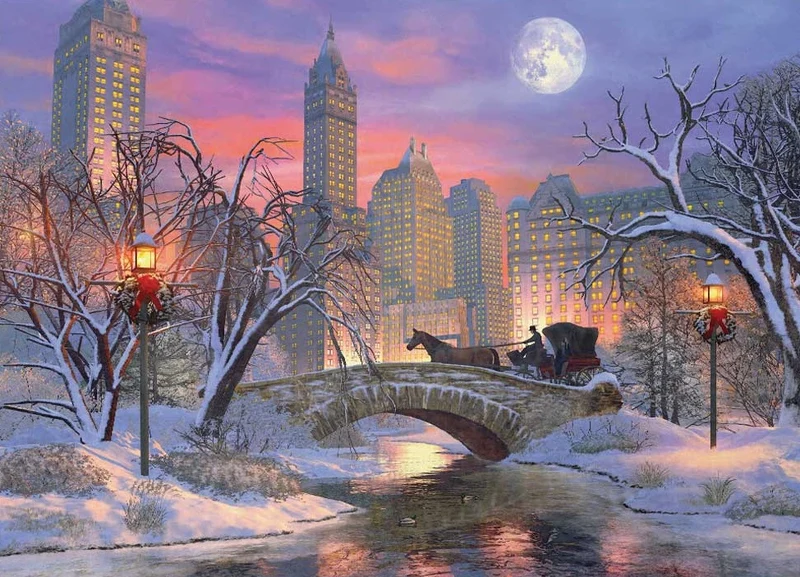 PFG Christmas Eve in New York City, Dominic Davison (Usage/Used - PUZZLES FOR GOOD)