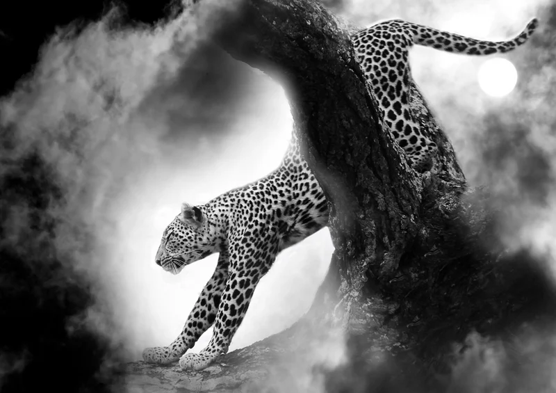 69451 Tierwelt - Jaguar Puzzle