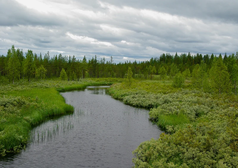 69469 Natur - Finnland Puzzle