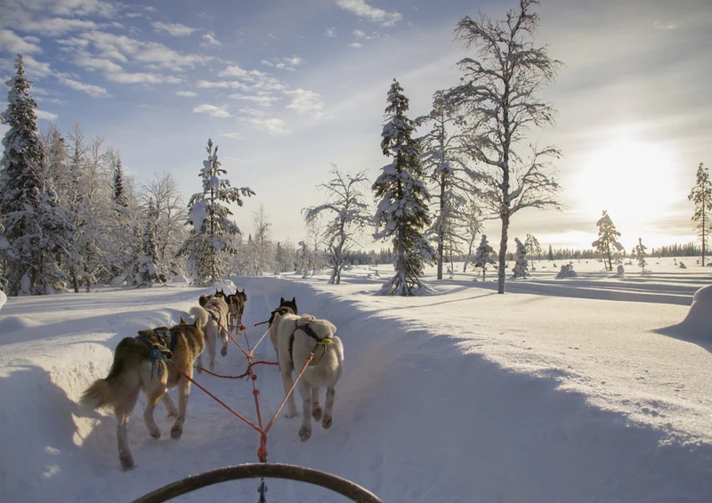 69476 Natur - Finnland Puzzle