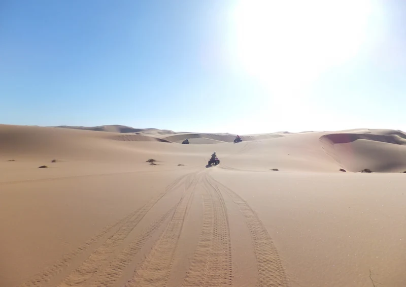 82716 Hintergründe - Afrika Puzzle