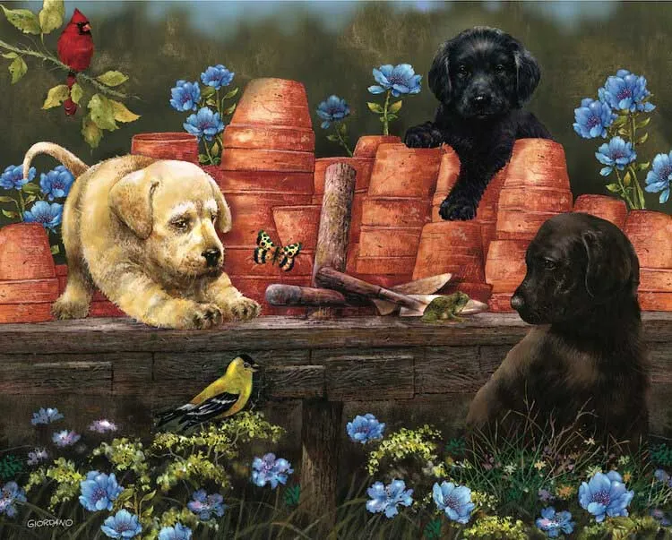 Hart Puppies at Play, Bob Giordano