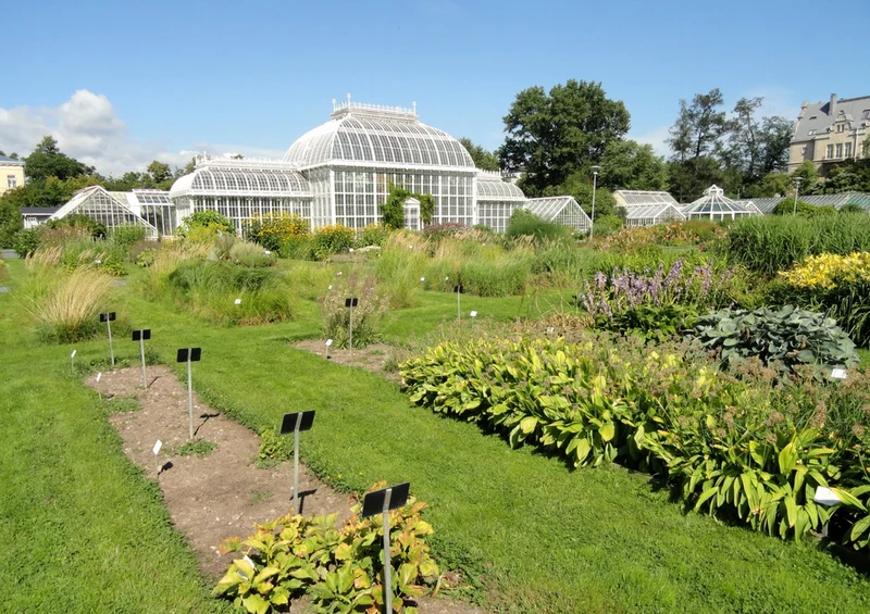 69555 Hintergründe - Botanischer Garten Puzzle