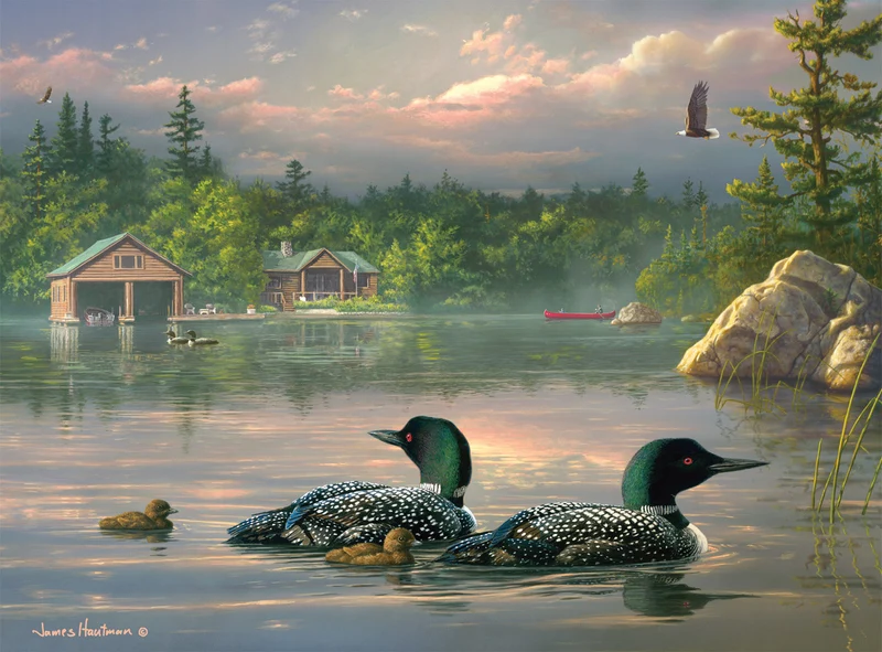 PFG Passing Storm Loons, Hautman (1000pcs) (Usage/Used - PUZZLES FOR GOOD)