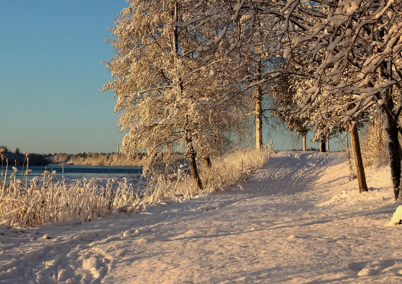 70089 Natur - Finnland Puzzle
