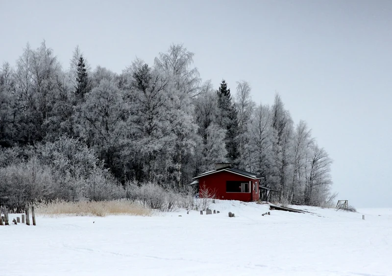 70100 Hintergründe - Finnland Puzzle