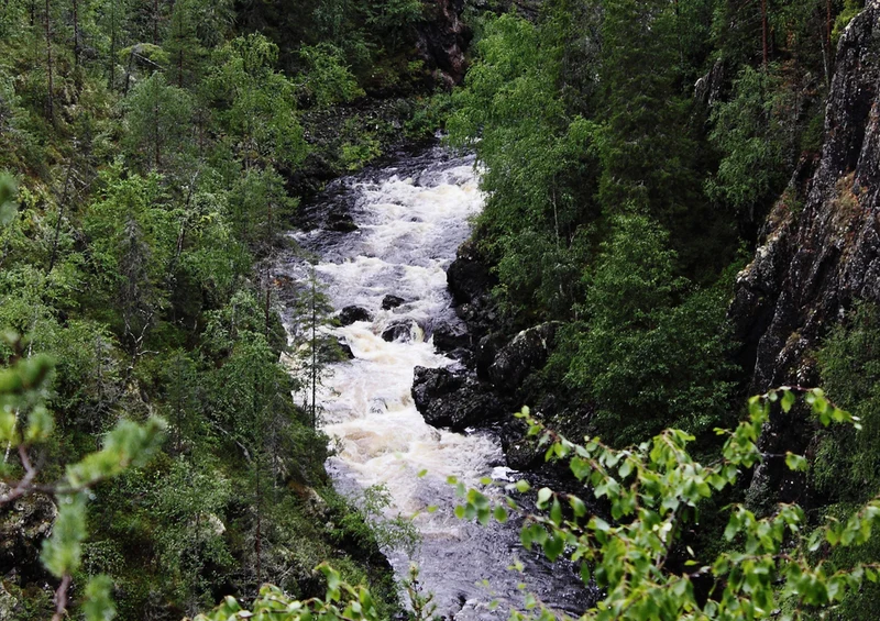 70116 Natur - Flusslauf Puzzle