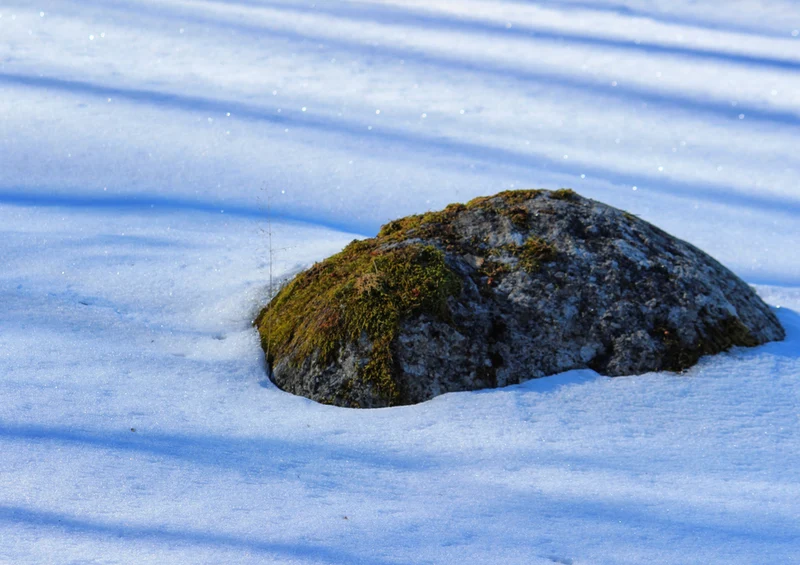 69874 Natur - Winter Puzzle