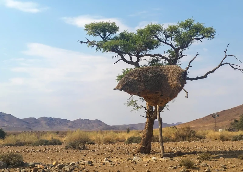 82829 Natur - Afrika Puzzle