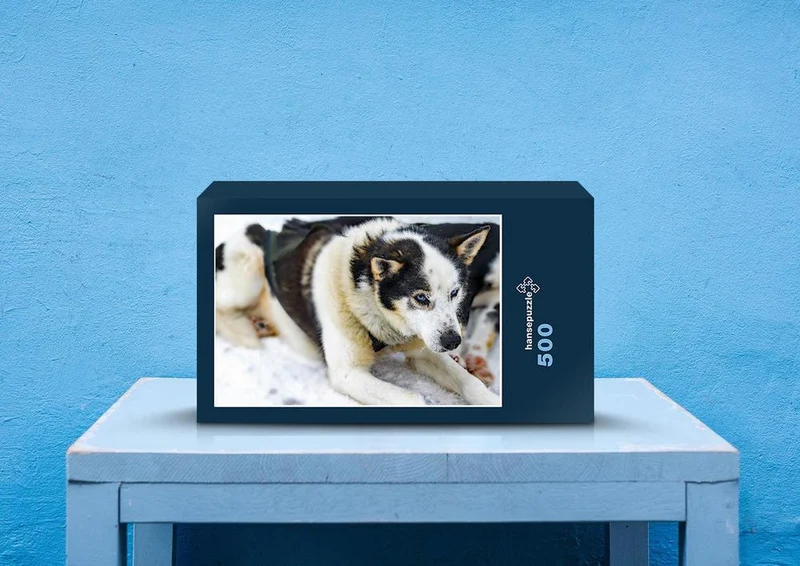 70268 Tierwelt - Husky Puzzle