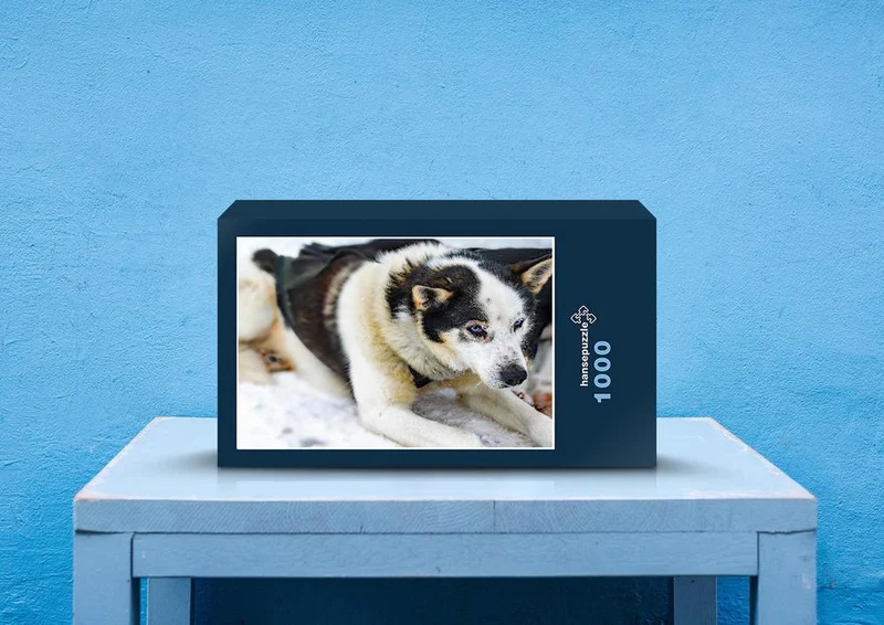 70268 Tierwelt - Husky Puzzle