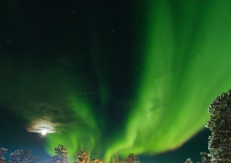 70319 Natur - Aurora Borealis Puzzle