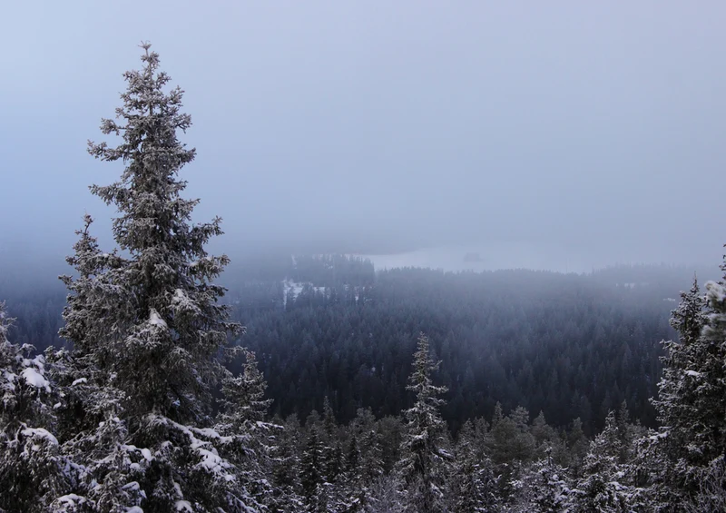 70335 Natur - Winter Puzzle