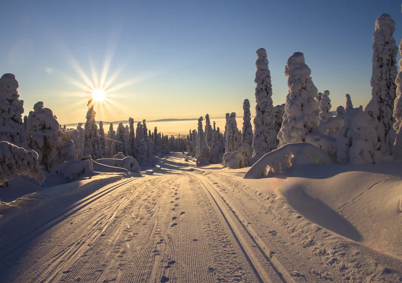 70364 Natur - Lappland Puzzle