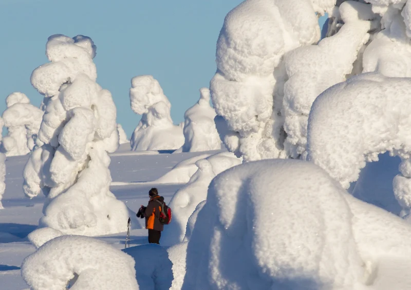 71086 Hintergründe - Lappland Puzzle