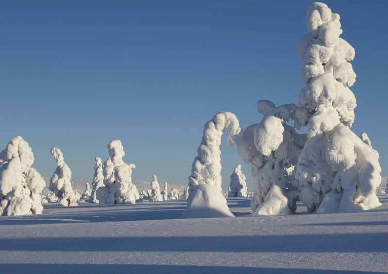 70375 Natur - Winterlandschaft Puzzle