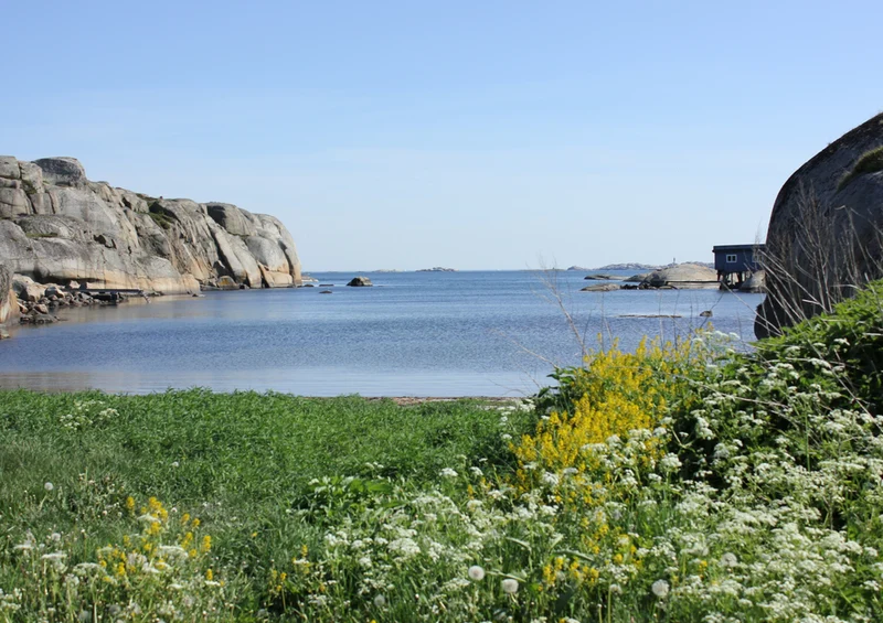 72526 Natur - Norwegen Puzzle