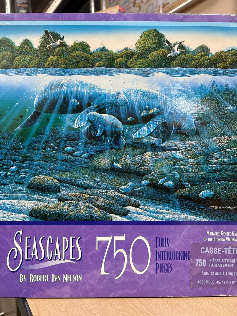 PFG Seascapes (Usage/Used - PUZZLES FOR GOOD)