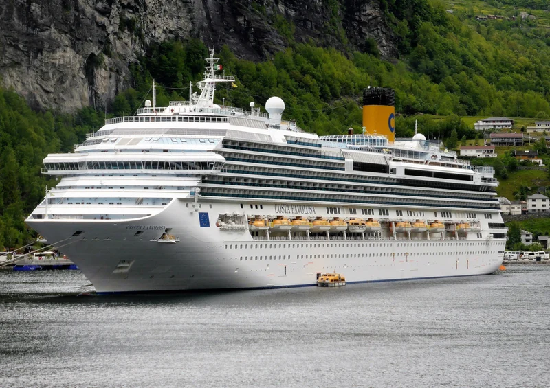 70449 Fortbewegung - Kreuzfahrtschiff Puzzle