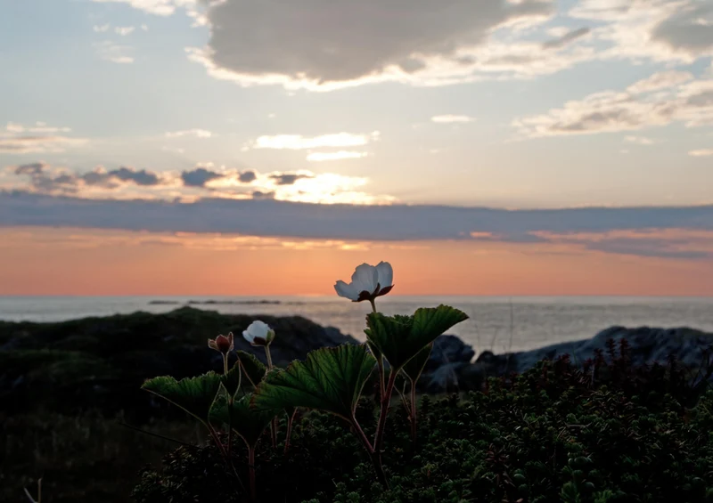 71370 Natur - Sonnenuntergang Puzzle