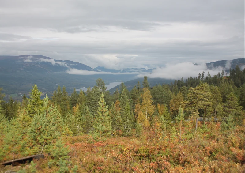 72198 Natur - Norwegen Puzzle