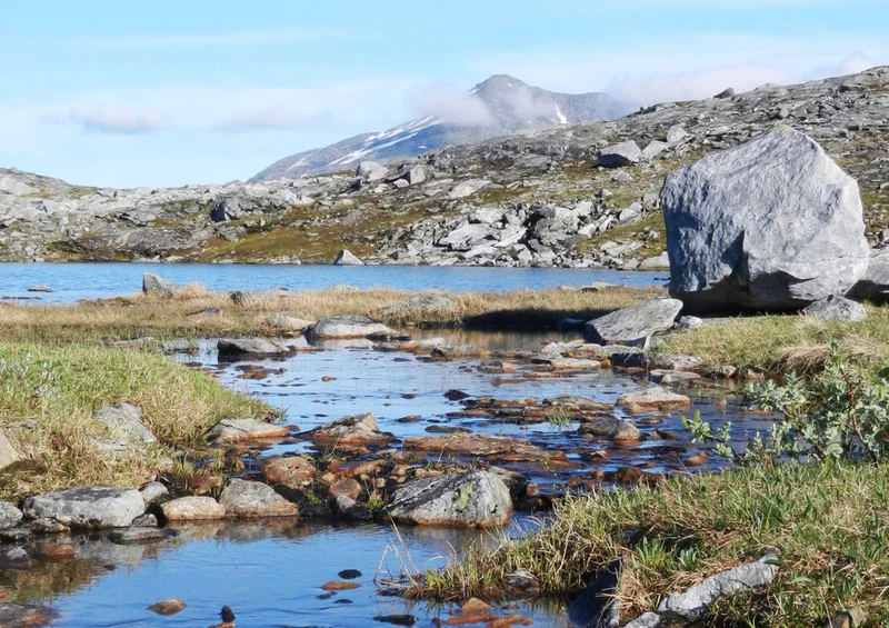 72208 Natur - Norwegen Puzzle
