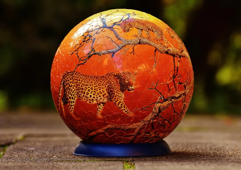 73073 Hintergründe - Leopard Puzzle