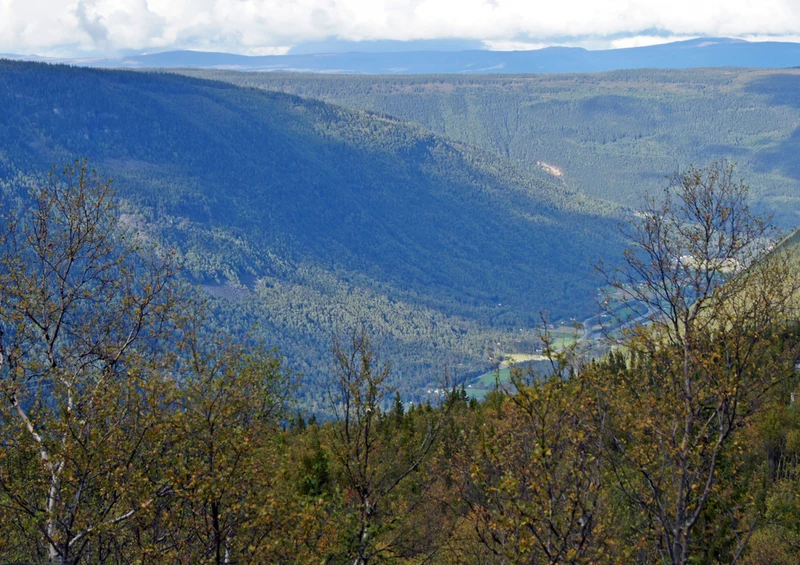71455 Natur - Norwegen Puzzle