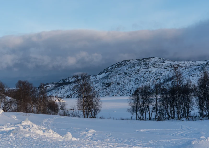 73815 Natur - Winterlandschaft Puzzle
