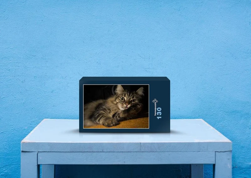 74456 Tierwelt - Katze Puzzle