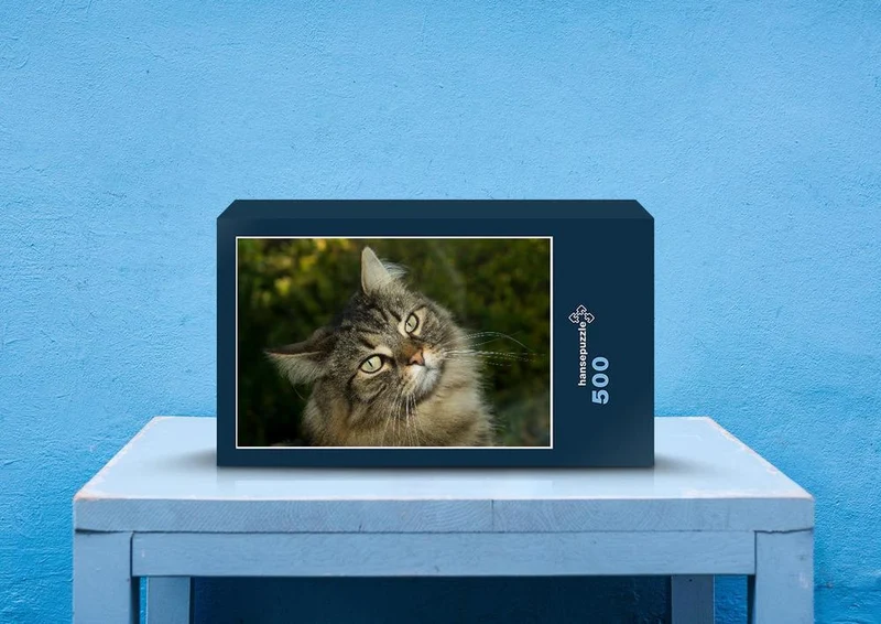 74508 Tierwelt - Katze Puzzle