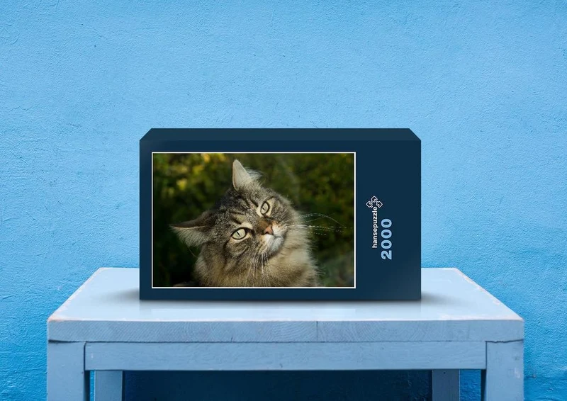 74508 Tierwelt - Katze Puzzle