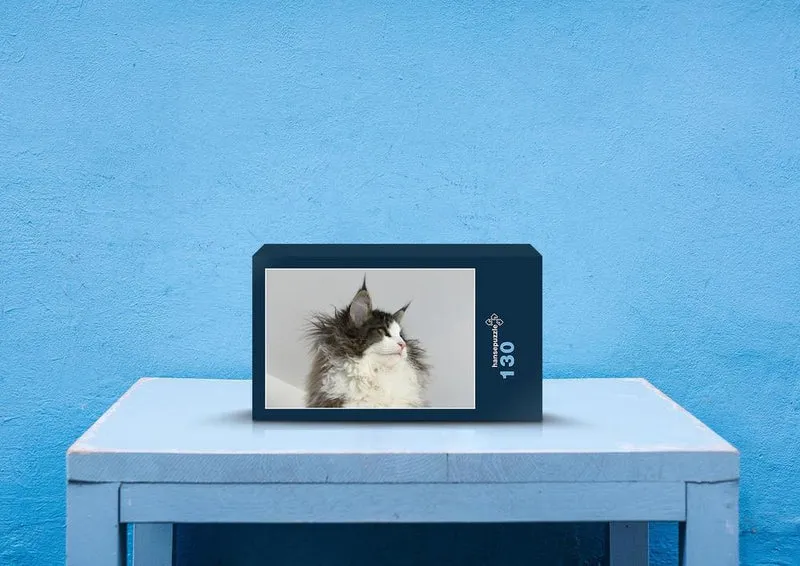 73602 Tierwelt - Katze Puzzle