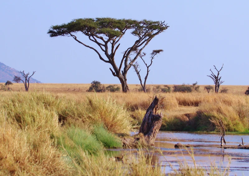 70396 Natur - Safari Puzzle