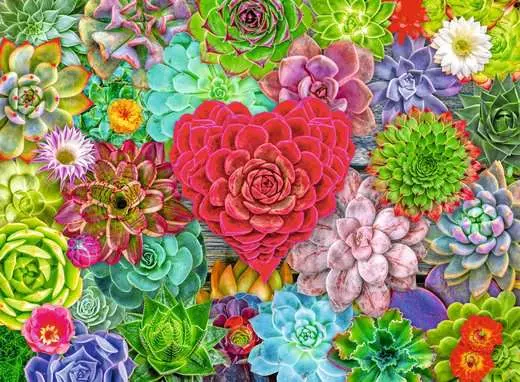 Ravensburger Succulent Love (500pcs)