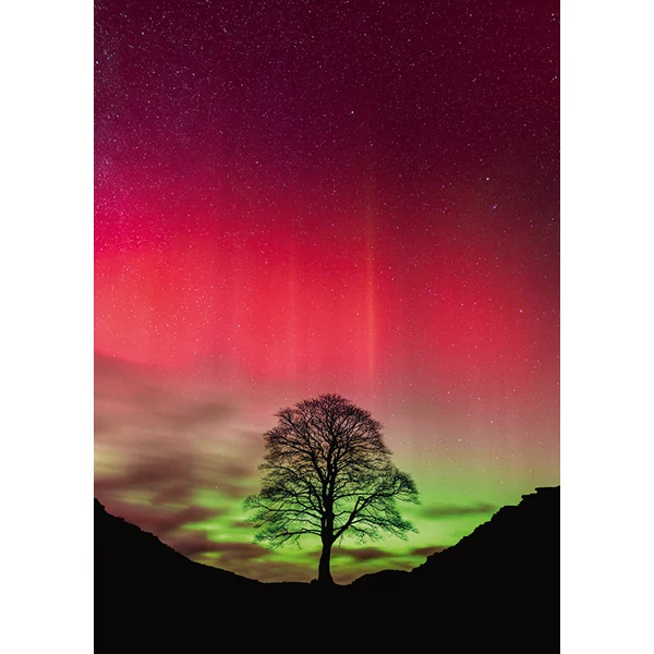 Power of Nature - Sycamore Gap (1000pcs)