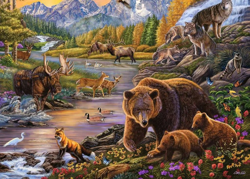 PFG Ravensburger Wilderness (500 Large) (UsageUsed - PUZZLES FOR GOOD)