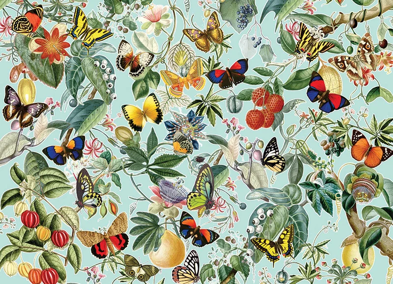 PFG Fruit and Flutterbies, Barbara Behr (Usage/Used - PUZZLES FOR GOOD)