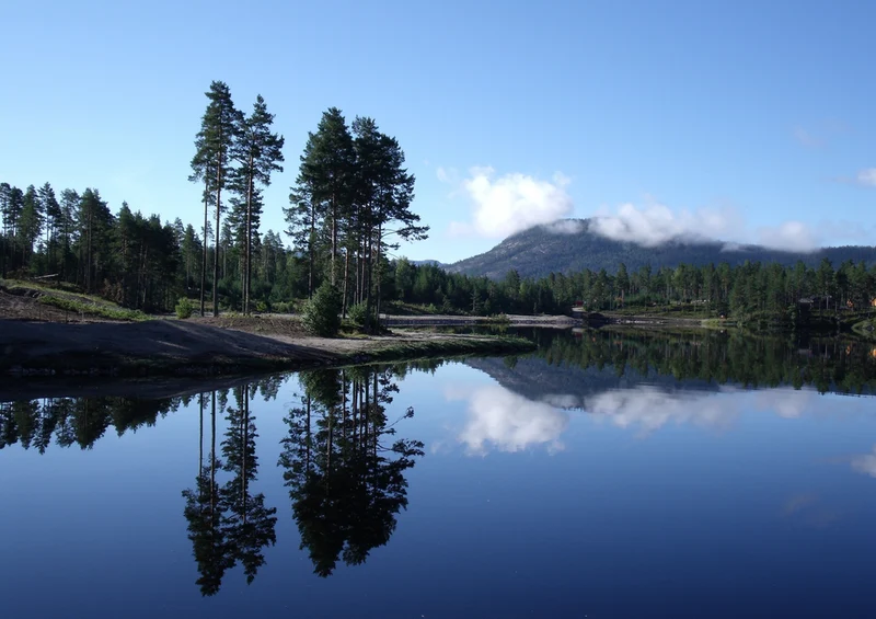 72405 Natur - Norwegen Puzzle