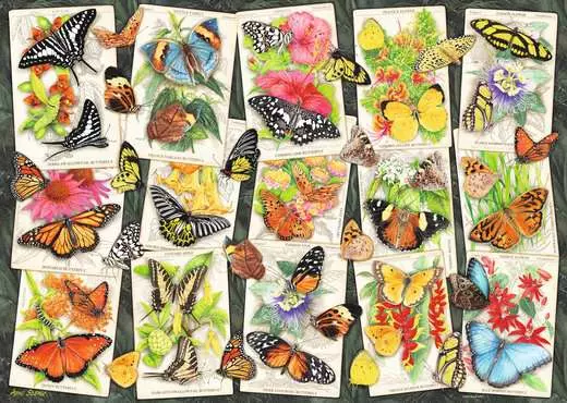 Ravensburger Tropical Butterflies (1000pcs)