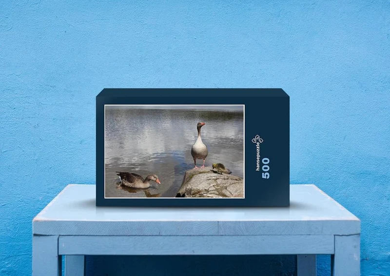 71630 Natur - Enten am Ufer Puzzle