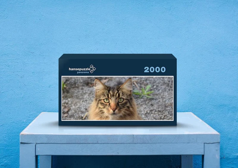 73467 Tierwelt - Katze Puzzle