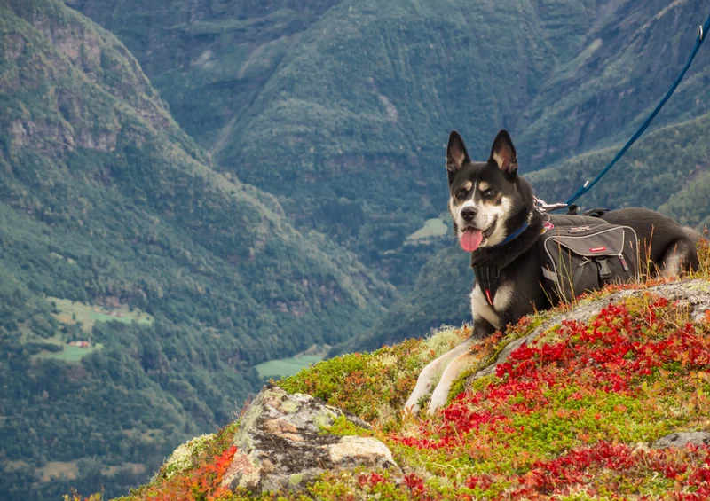 73495 Reisen - Wandern Puzzle